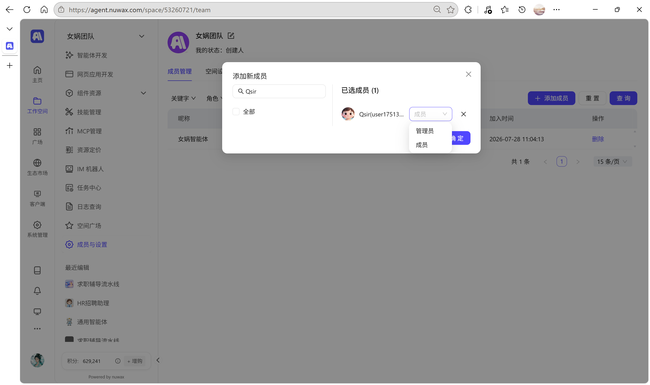 团队成员角色设置